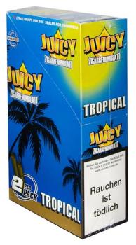 Blunts Juicy Jays Tropical